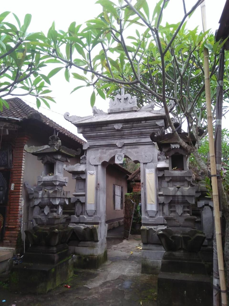 Lionk Bali House Bed & Breakfast Ubud Exterior foto